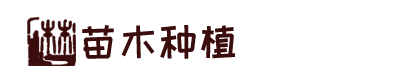 bevictor伟德-bv伟德国际体育官方网站